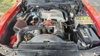 Thumbnail Photo 1 for 1988 Ford Thunderbird