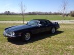 Thumbnail Photo 1 for 1988 Jaguar XJS