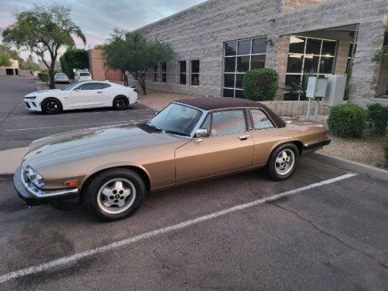Photo 1 for 1988 Jaguar XJS