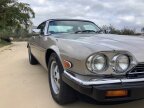 Thumbnail Photo 6 for 1988 Jaguar XJS