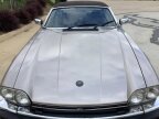 Thumbnail Photo 3 for 1988 Jaguar XJS