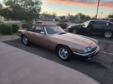 Photo 1 for 1988 Jaguar XJS