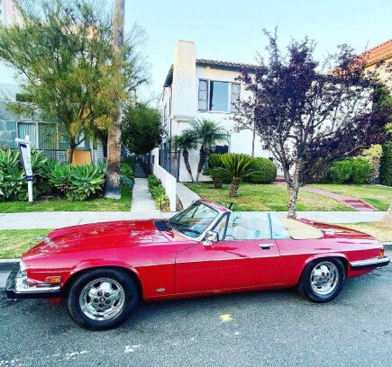 Photo 1 for 1988 Jaguar XJS V12 Convertible for Sale by Owner