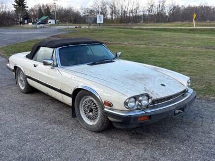 Photo 1 for 1988 Jaguar XJS V12 Coupe