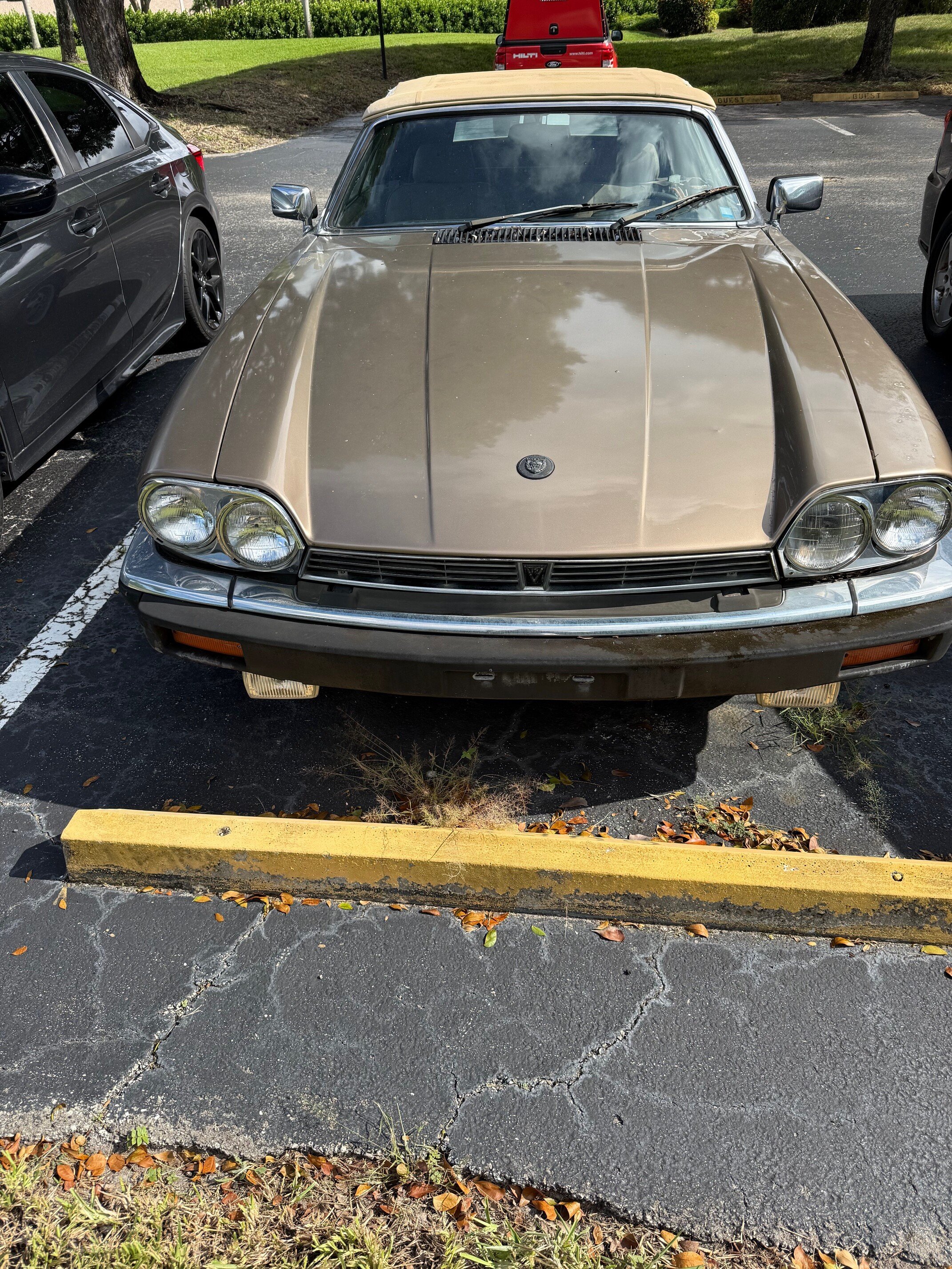 1988 Jaguar XJS V12 Convertible