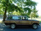 Thumbnail Photo 4 for 1988 Jeep Grand Wagoneer