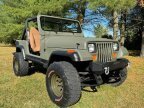 Thumbnail Photo 1 for 1988 Jeep Wrangler