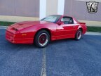 Thumbnail Photo 2 for 1988 Pontiac Firebird Trans Am