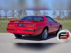 Thumbnail Photo 2 for 1988 Pontiac Firebird Formula
