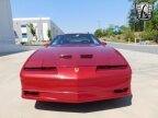 Thumbnail Photo 3 for 1988 Pontiac Firebird Trans Am