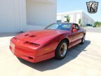 Thumbnail Photo 4 for 1988 Pontiac Firebird Trans Am