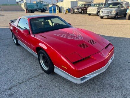 Photo 1 for 1988 Pontiac Firebird