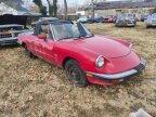 Thumbnail Photo 3 for 1989 Alfa Romeo Spider
