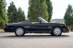 Thumbnail Photo 2 for 1989 Alfa Romeo Spider Quadrifoglio