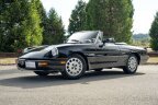Thumbnail Photo 3 for 1989 Alfa Romeo Spider Quadrifoglio