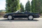 Thumbnail Photo 4 for 1989 Alfa Romeo Spider Quadrifoglio