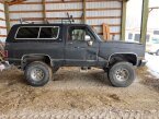 Thumbnail Photo 3 for 1989 Chevrolet Blazer 4WD 2-Door for Sale by Owner