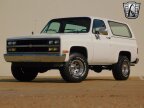 Thumbnail Photo 2 for 1989 Chevrolet Blazer 4WD