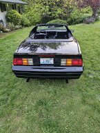 Thumbnail Photo 1 for 1989 Chevrolet Camaro Convertible for Sale by Owner