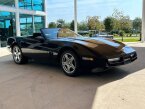 Thumbnail Photo 3 for 1989 Chevrolet Corvette