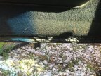 Thumbnail Photo 6 for 1989 Chevrolet Corvette
