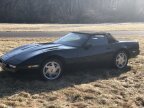 Thumbnail Photo 1 for 1989 Chevrolet Corvette Convertible for Sale by Owner