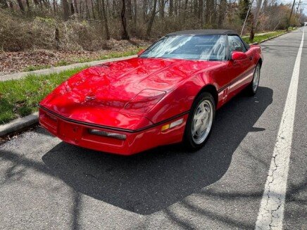 Photo 1 for 1989 Chevrolet Corvette