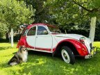Thumbnail Photo 3 for 1989 Citroen 2CV