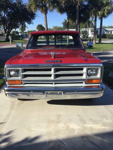 Photo 1 for 1989 Dodge D/W Truck 2WD Regular Cab D-100 for Sale by Owner