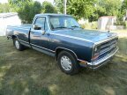 Thumbnail Photo 1 for 1989 Dodge D/W Truck 2WD Regular Cab D-150 S for Sale by Owner