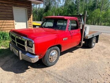 1989 Dodge D/W Truck