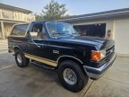 Thumbnail Photo 1 for 1989 Ford Bronco Eddie Bauer for Sale by Owner
