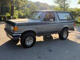 1989 Ford Bronco Eddie Bauer