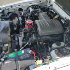 Thumbnail Photo 2 for 1989 Ford Mustang