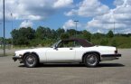 Thumbnail Photo 5 for 1989 Jaguar XJS