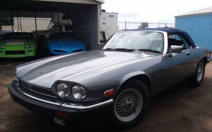 Photo 1 for 1989 Jaguar XJS