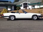 Thumbnail Photo 6 for 1989 Jaguar XJS V12 Convertible