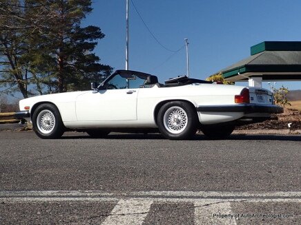 Photo 1 for 1989 Jaguar XJS V12 Convertible