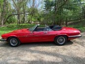 1989 Jaguar XJS V12 Convertible