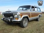 Thumbnail Photo 6 for 1989 Jeep Grand Wagoneer