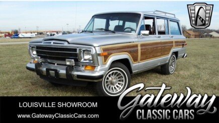 Photo 1 for 1989 Jeep Grand Wagoneer