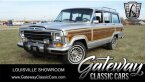 Thumbnail Photo 2 for 1989 Jeep Grand Wagoneer