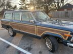 Thumbnail Photo 2 for 1989 Jeep Grand Wagoneer for Sale by Owner