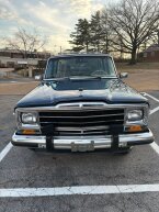 Thumbnail Photo 3 for 1989 Jeep Grand Wagoneer for Sale by Owner