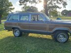 Thumbnail Photo 5 for 1989 Jeep Grand Wagoneer for Sale by Owner