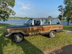 Thumbnail Photo 1 for 1989 Jeep Grand Wagoneer for Sale by Owner