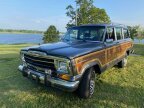 Thumbnail Photo 2 for 1989 Jeep Grand Wagoneer for Sale by Owner