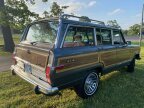 Thumbnail Photo 6 for 1989 Jeep Grand Wagoneer for Sale by Owner