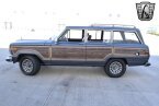 Thumbnail Photo 2 for 1989 Jeep Grand Wagoneer