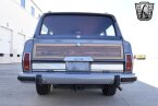 Thumbnail Photo 3 for 1989 Jeep Grand Wagoneer